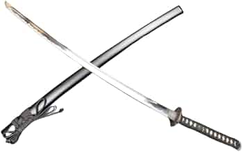 31nC+lV1O2L._AC_UF350,